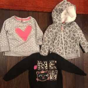 Lot of 3-toddler girls sweatshirts sz 2T
